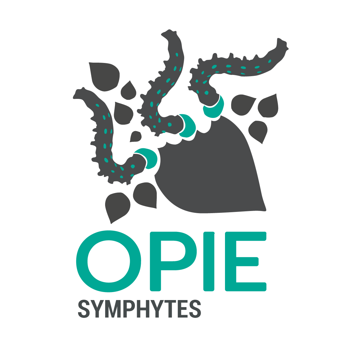 Opie-symphytes